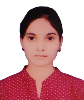 DLB - Junior Engineer