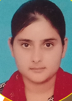 PHED-Junior Engineer